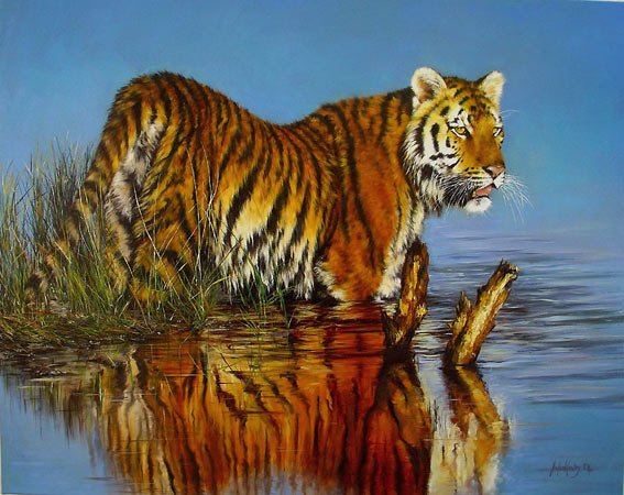 Jules Kesby wildlife oil paintings, lion, tiger, leopard, giraffe