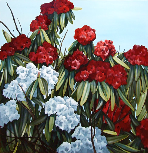 Kirsty Nixon nz landscape artist, rhododenren painting