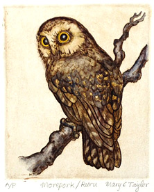 mary taylor nz etchings, morepork, nz owl